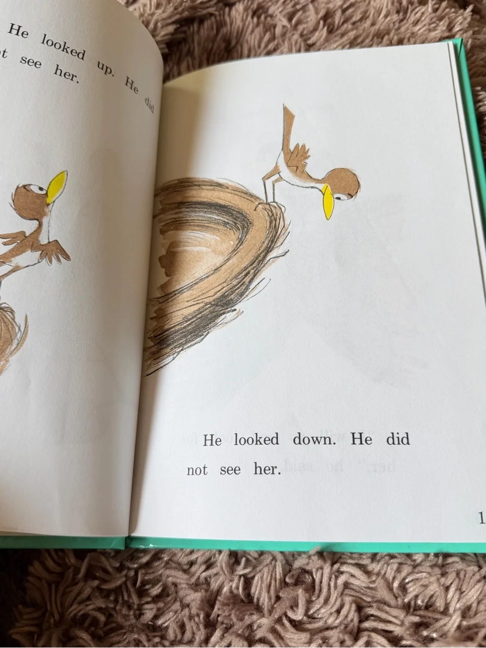 Vintage 1960 Dr. Seuss Are You my mother by PD Eastman